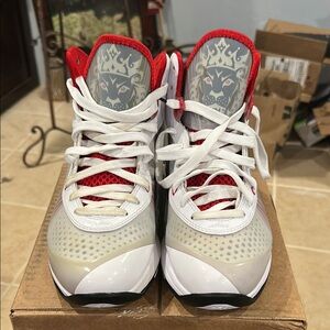 Lebron James Red and White Basketball Shoes